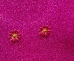 Enamel Daisy Flower Earrings – Gold Metal (18mm) - Image 6