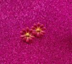 Enamel Daisy Flower Earrings – Gold Metal (18mm) - Image 7